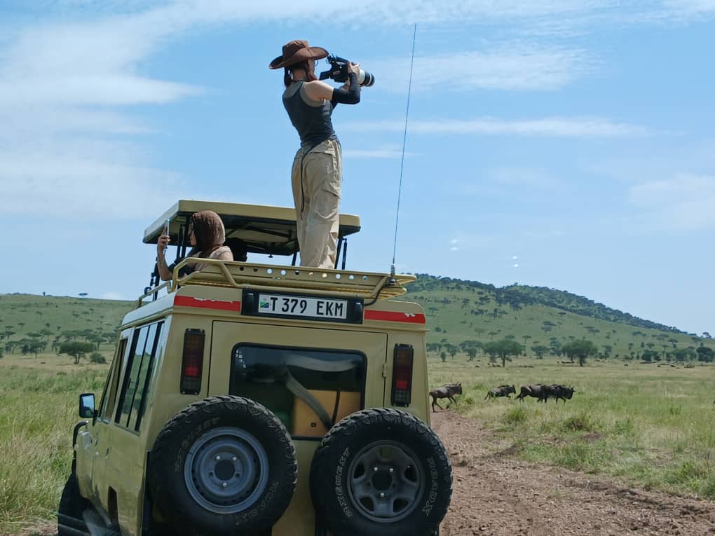 Pipipax Travel Experience