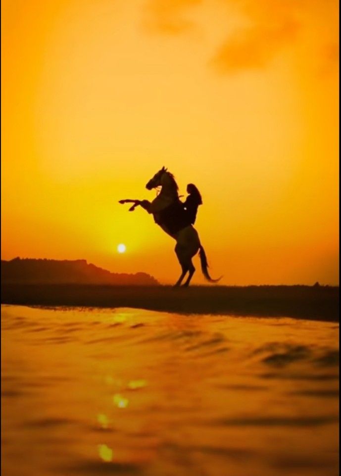 Sunset Horseback Riding