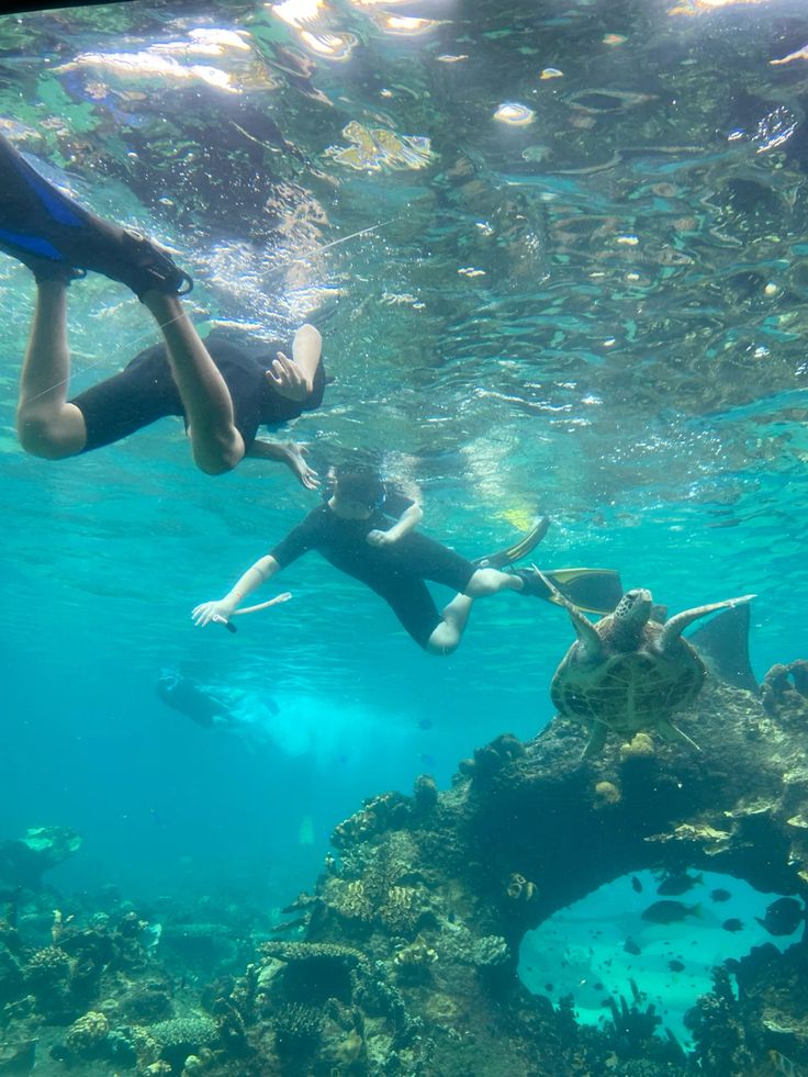 Mnemba Island Snorkeling