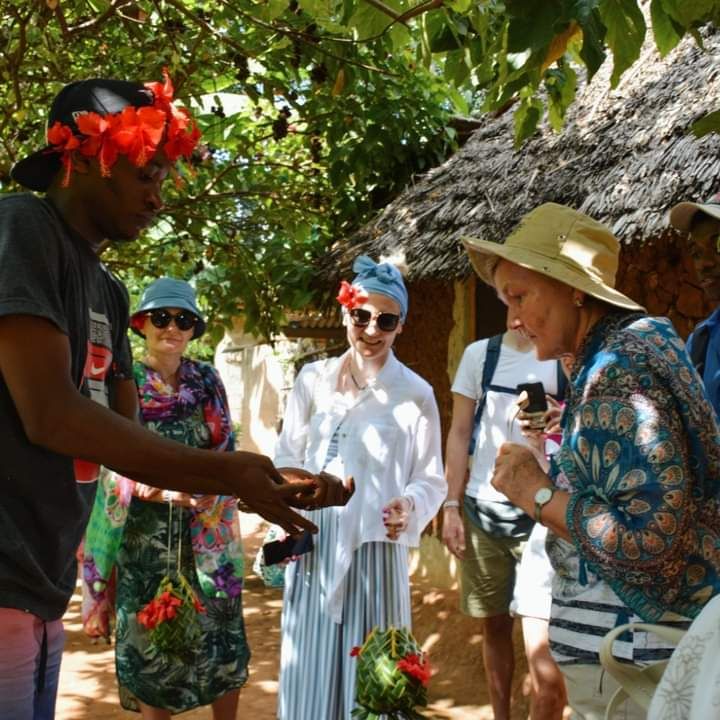Traditional Medicine Tour