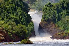 3-Day Big 5 Sighting Safari Tour to Murchison Falls NP