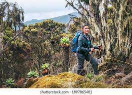 Umbwe Route - 8 Days
