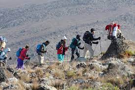 Marangu Route - 7 Days
