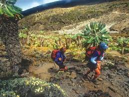 Machame Route - 8 Days