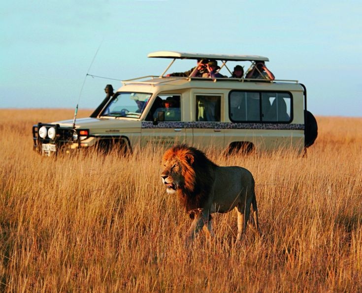 3-Day Magnificent Murchison Falls Safari