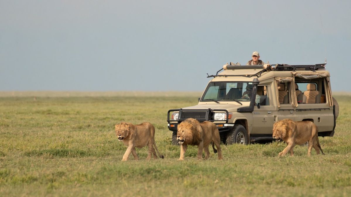 10-Day Mid Range Serengeti Wildebeest Migration Tour
