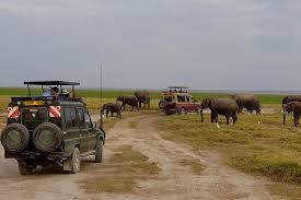 8-Day Magical Kenya Immersive Game Safari