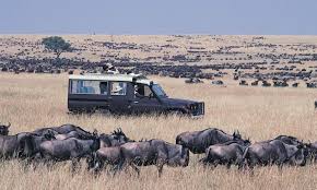 5-Day Ultimate Kenya Safari in Private 4 X 4 Lancruiser