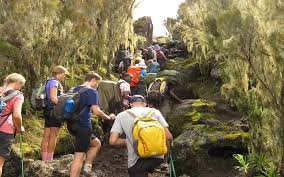 Machame Route - 7 Days