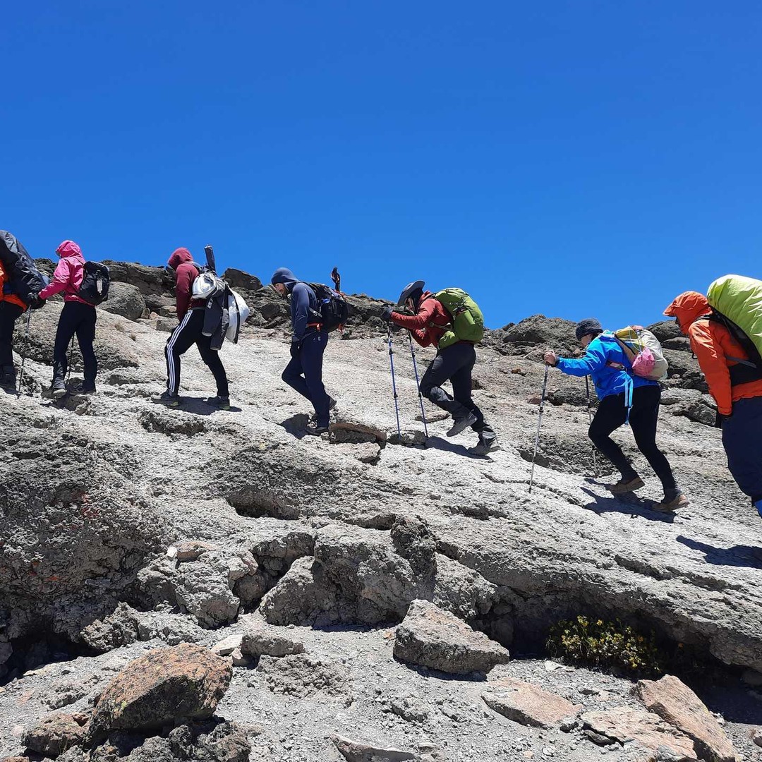 Mount Meru Bird Watching - 4 Days