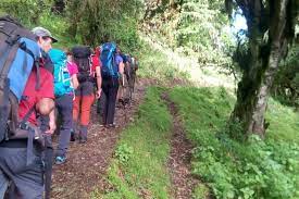 Mount Meru Express - 2 Days