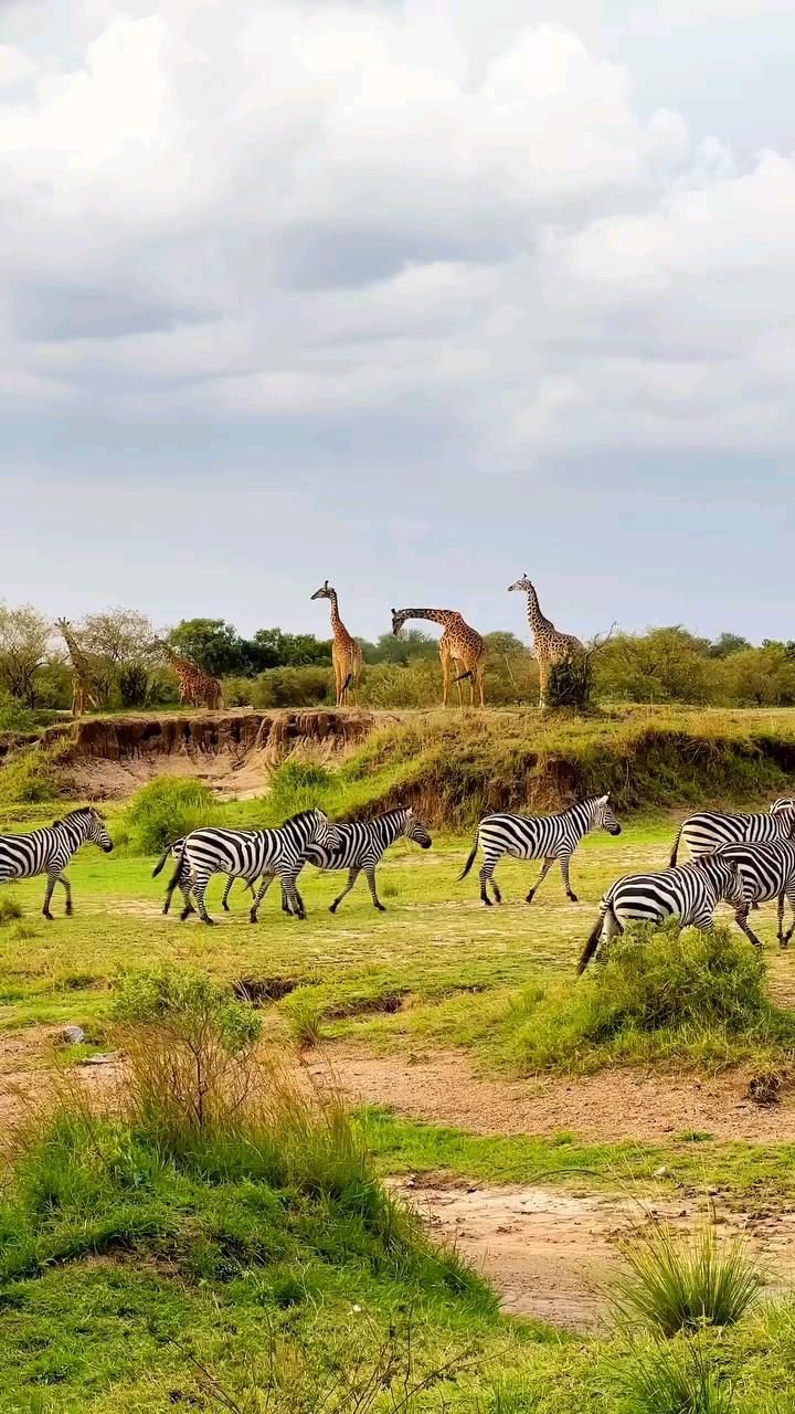 3-Day 4x4 Amboseli Group Joining Tour